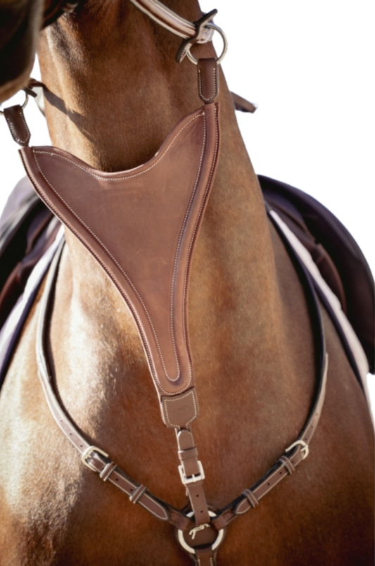 Penelope_Half_Bip_Martingale_Attachment