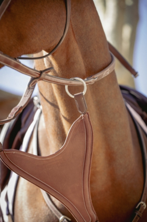Penelope_Half_Bip_Martingale_Attachment
