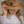 Penelope_Rafia_Hat