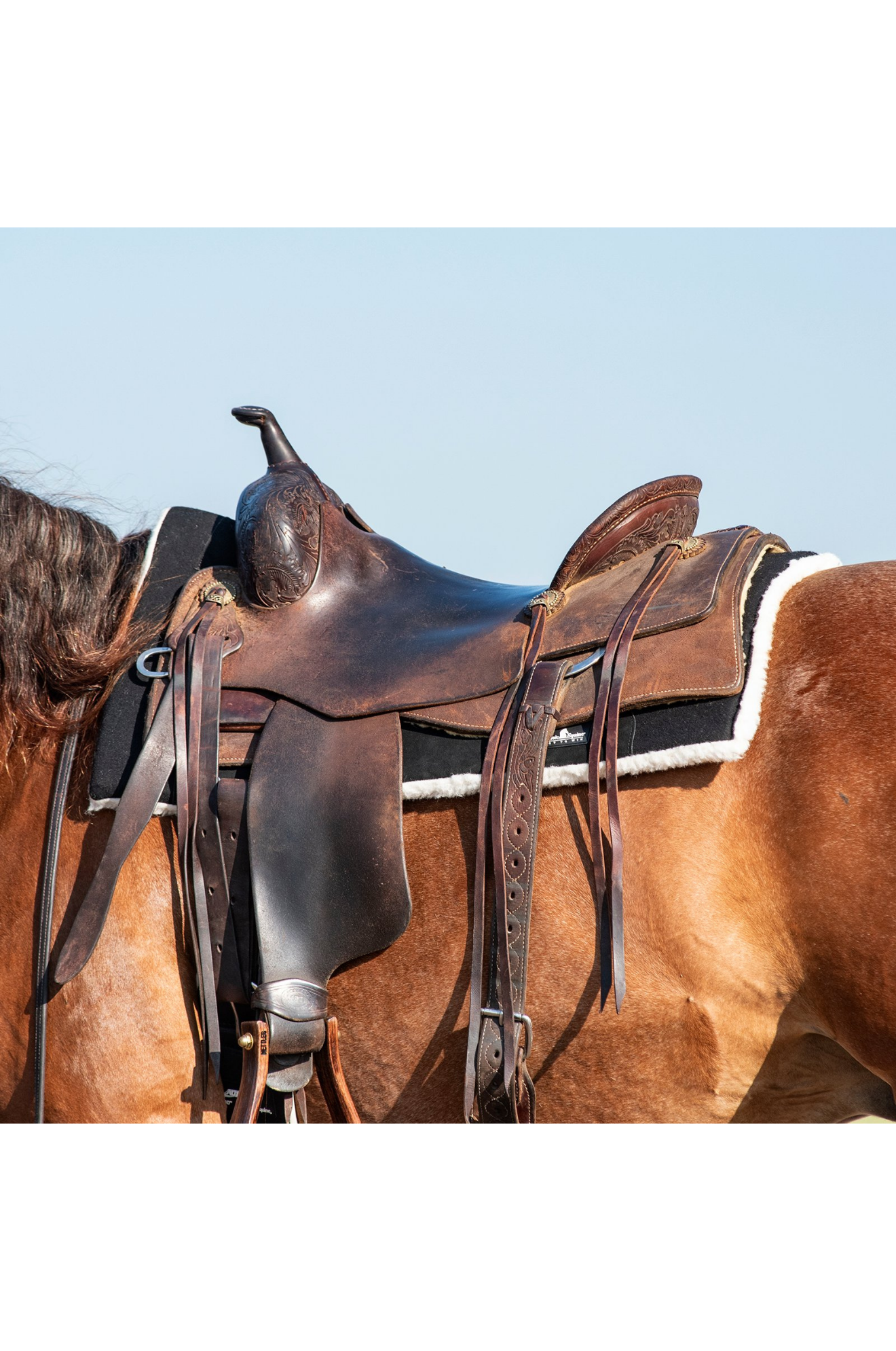 Performance_Trainer_Felt_Top