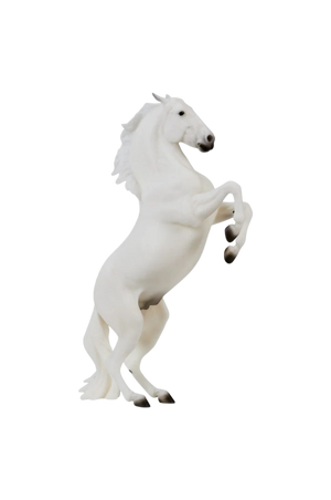 Pluto Gratia Lipizzaner