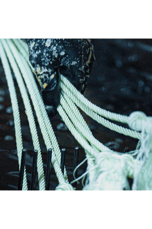 Powerline4_Lite_Team_Rope_30ft_Head