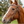 Python_Pass_Browband_Headstall