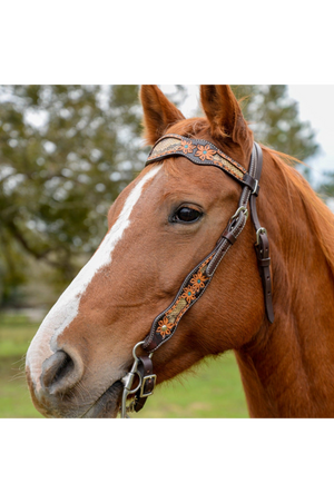 Python_Pass_Browband_Headstall
