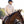 Person riding a horse in an outdoor setting