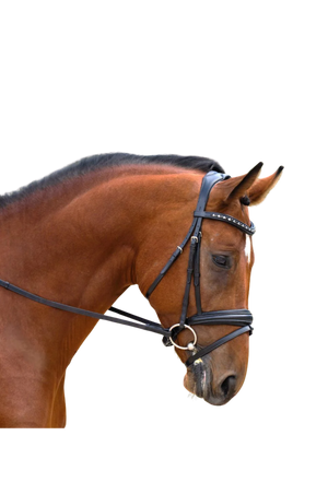 Red_Barn_Olympian_Dressage_Bridle