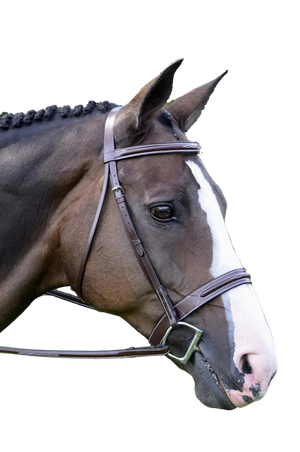 Red_Barn_Sonoma_Hunter_Bridle