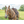 Remuda_BB_Headstall