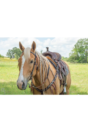 Remuda_BB_Headstall