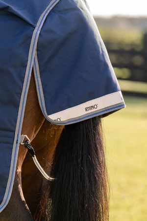 Rhino_Turnout_0g_26