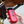 Robin_Professional_Horse_Trimmer