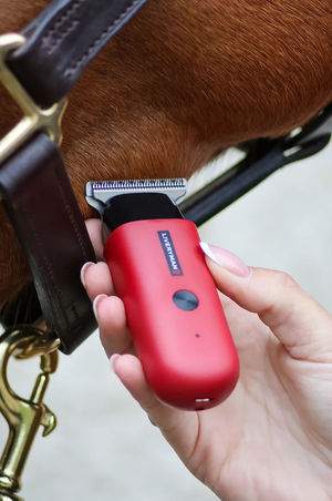 Robin_Professional_Horse_Trimmer