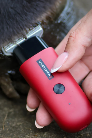 Robin_Professional_Horse_Trimmer