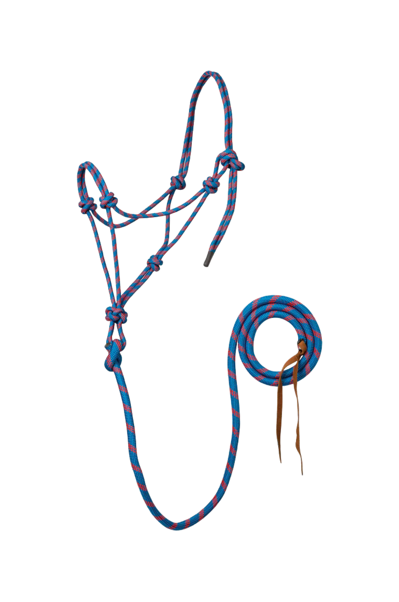 Rope Halter w/Lead