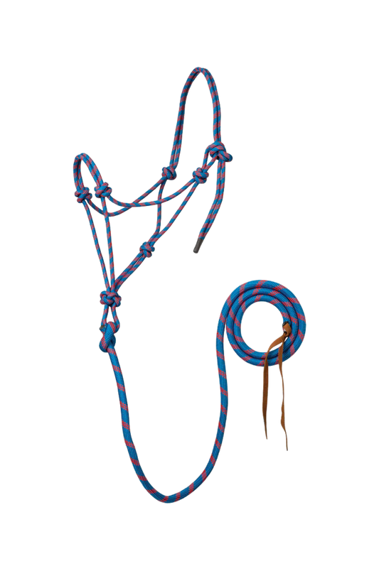 Rope Halter w/Lead