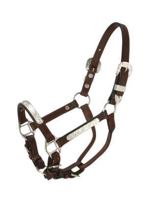 Royal_King_Silver_Bar_Show_Halter_Miniature