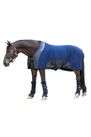 back on track navy mesh sheet on bay horse