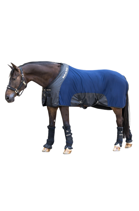 back on track navy mesh sheet on bay horse