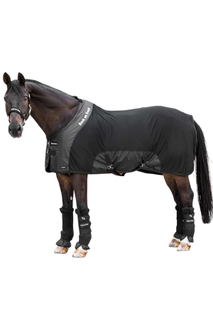 Back on Tack mesh sheet on bay horse