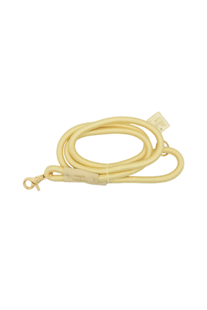 SS Pet Leash