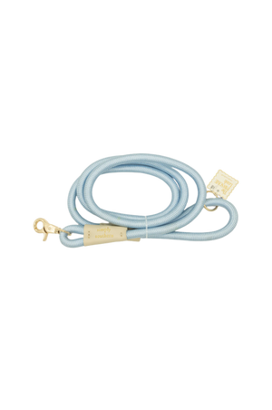 SS Pet Leash