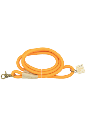 SS Pet Leash