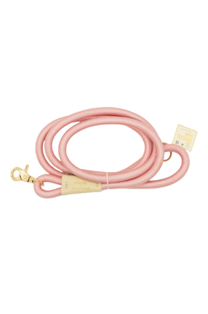 SS Pet Leash