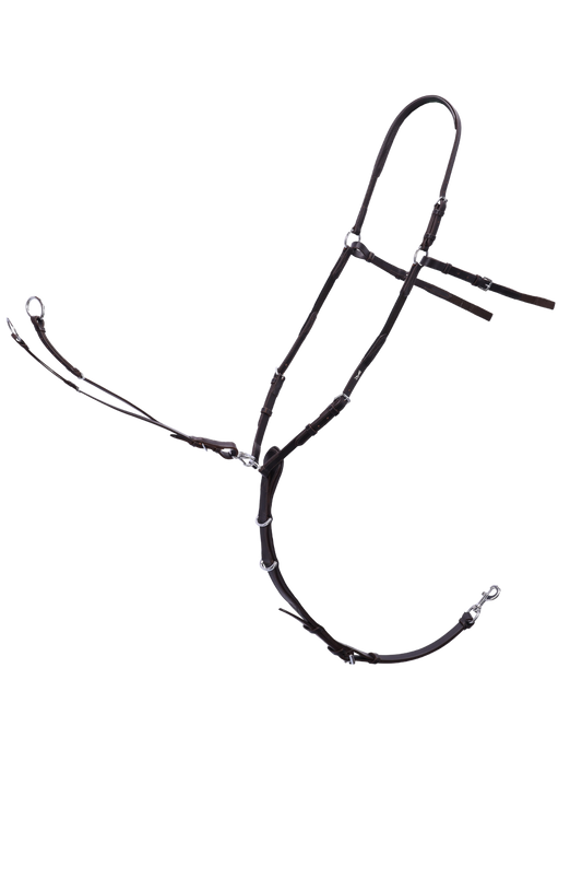 Schockemhle_SP_Como_Breastplate