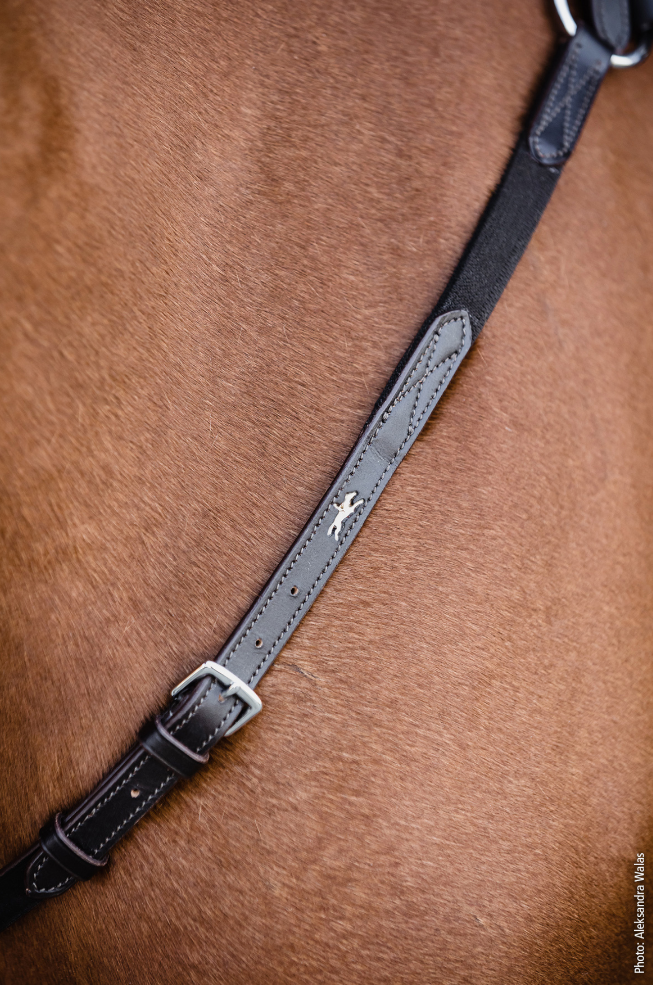 Schockemhle_SP_Como_Breastplate