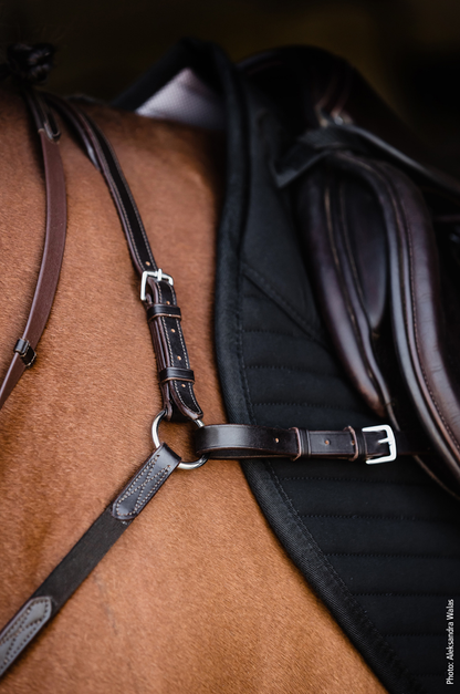 Schockemhle_SP_Como_Breastplate