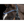 Schockemhle_SP_Malaga_Browband