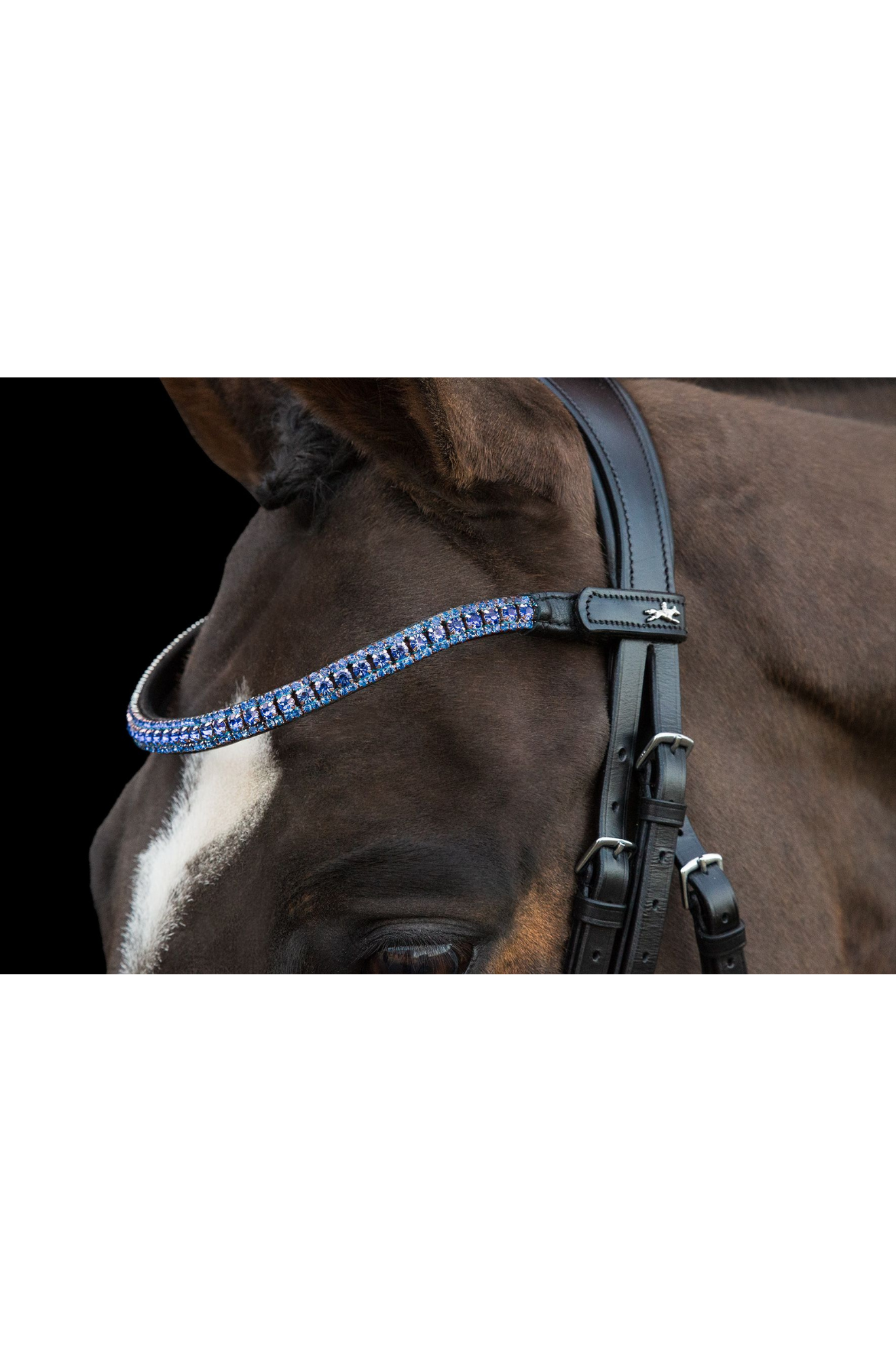 Schockemhle_SP_Malaga_Browband