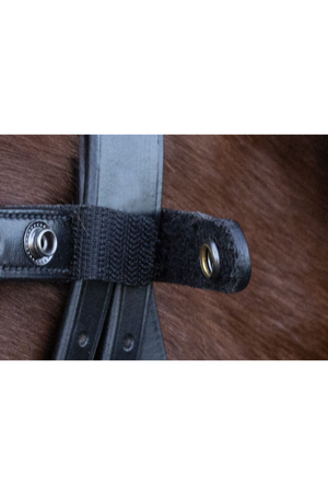 Schockemhle_SP_Malaga_Browband