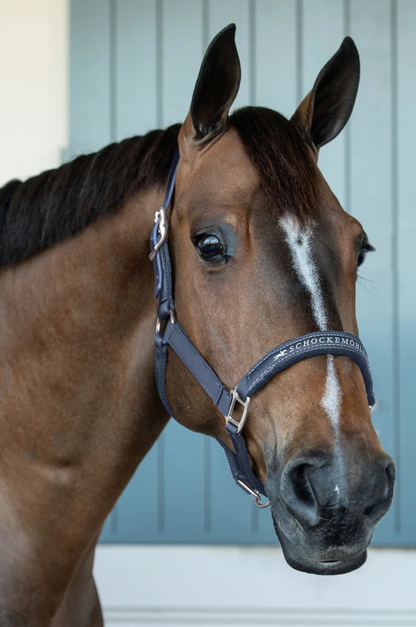 Schockemhle_SP_Memphis_Breakaway_Halter