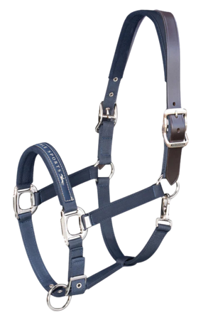Schockemhle_SP_Memphis_Breakaway_Halter
