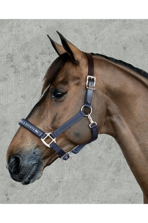 Schockemhle_SP_Memphis_Breakaway_Halter