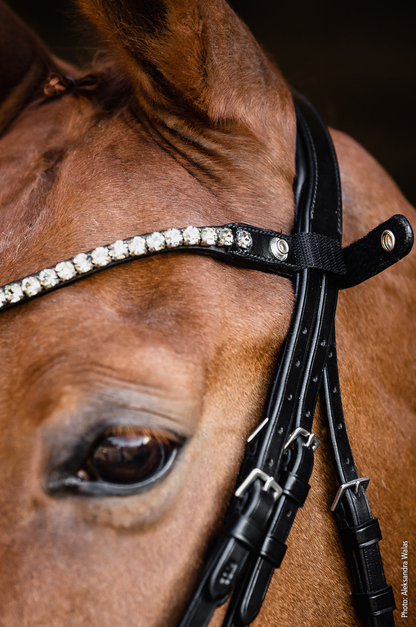 Schockemhle_SP_Milazzo_Double_Bridle