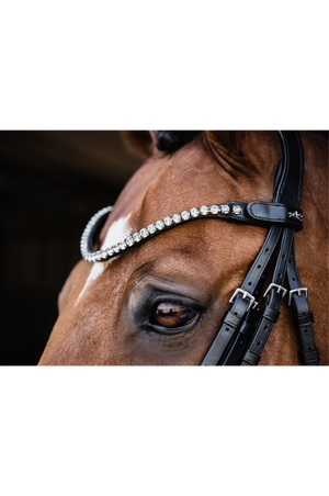 Schockemhle_SP_Milazzo_Double_Bridle