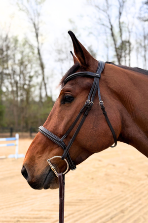 Schockemhle_SP_Montreal_Select_Bridle