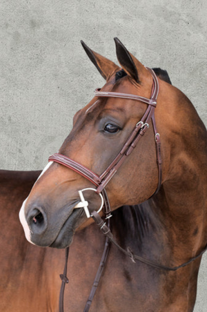 Schockemhle_SP_Montreal_Select_Bridle