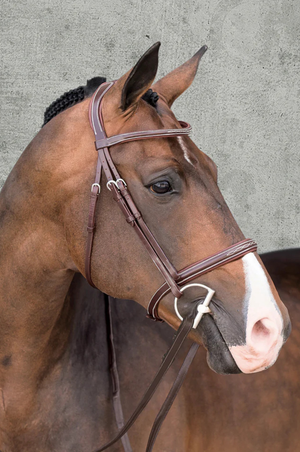 Schockemhle_SP_Montreal_Select_Bridle