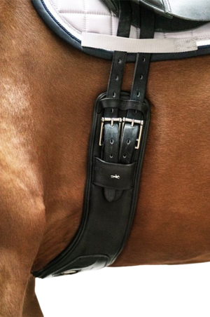 Schockemhle_SP_Pittsburgh_Dressage_Girth