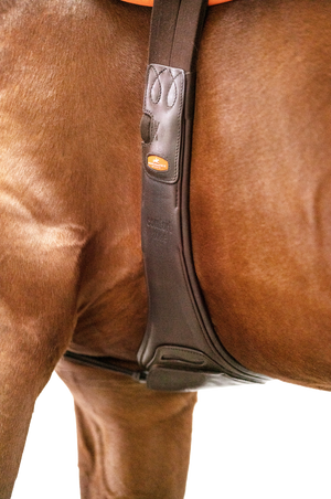 Schockemhle_SP_Portland_Girth