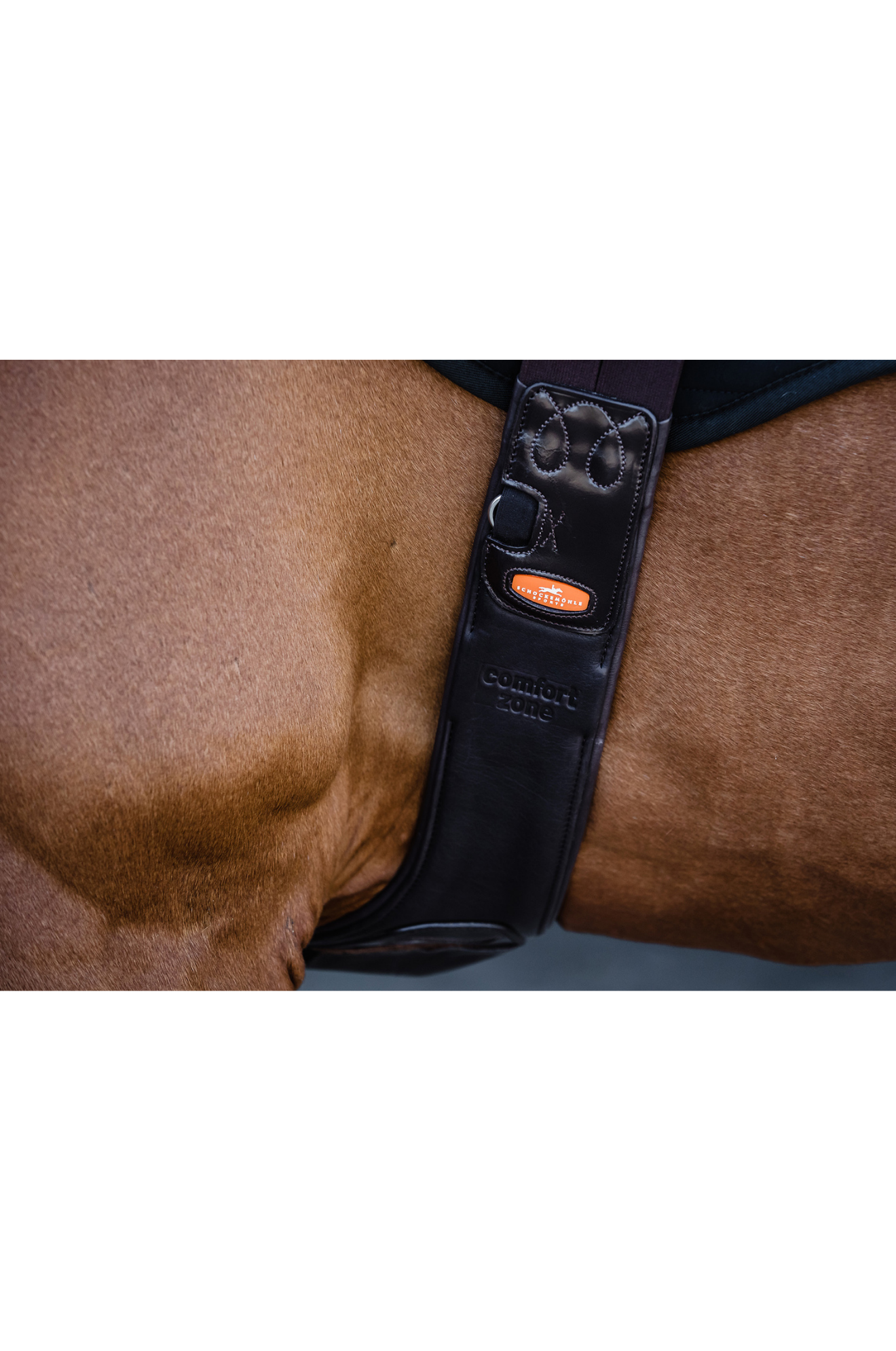 Schockemhle_SP_Portland_Girth