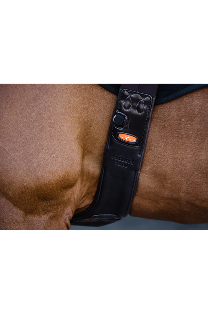 Schockemhle_SP_Portland_Girth