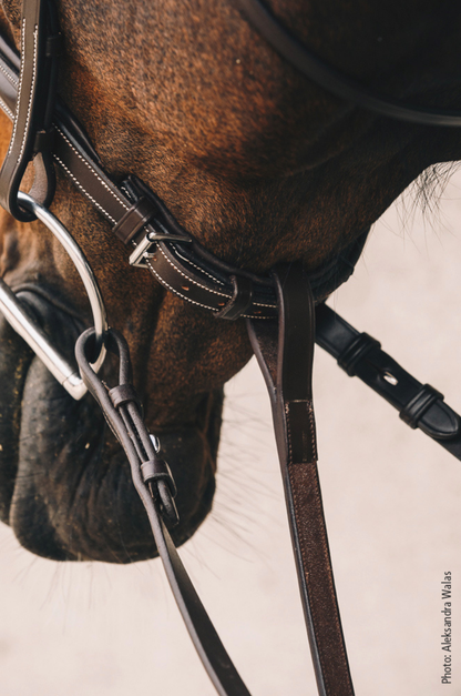 Schockemhle_SP_Santa_Clara_Select_Breastplate