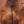 Schockemhle_SP_Santa_Clara_Select_Breastplate