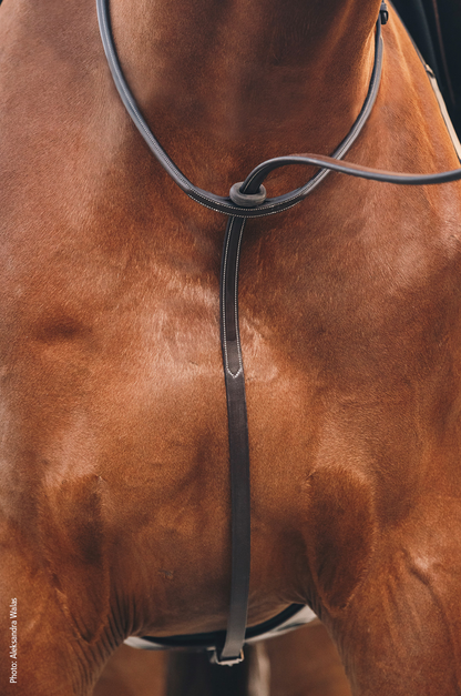 Schockemhle_SP_Santa_Clara_Select_Breastplate