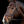 Schockemohle_Ancona_Select_Bridle