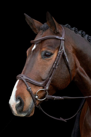 Schockemohle_Ancona_Select_Bridle